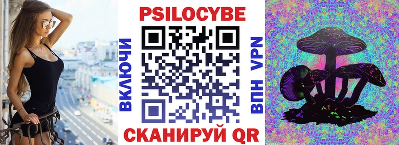 Купить закладки  Пласт  Галлюциногенные грибы прущие грибы 